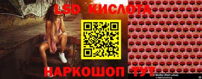 мяу мяу мука Кулебаки