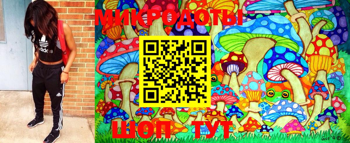 Галлюциногенные грибы Magic Shrooms Зеленогорск
